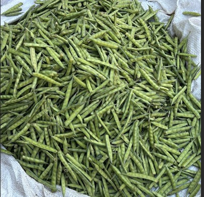 Phali-Gawar Desi 